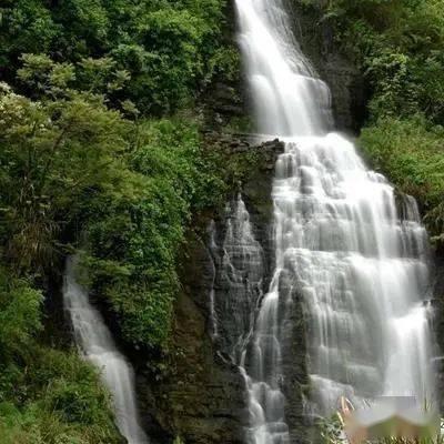 女性绝经的最佳年龄是几岁？提醒：太早或太晚，都未必是好事